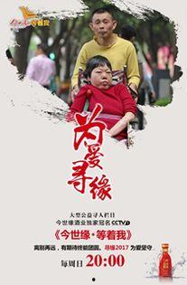 再续今世缘,一段跨越时空的浪漫传奇