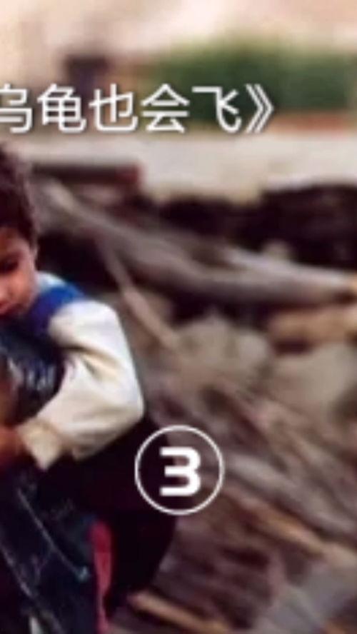 乌龟也会飞,揭秘生物界的奇迹与奥秘